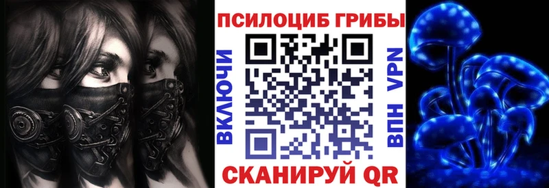 Купить где  Гулькевичи  Псилоцибиновые грибы прущие грибы 